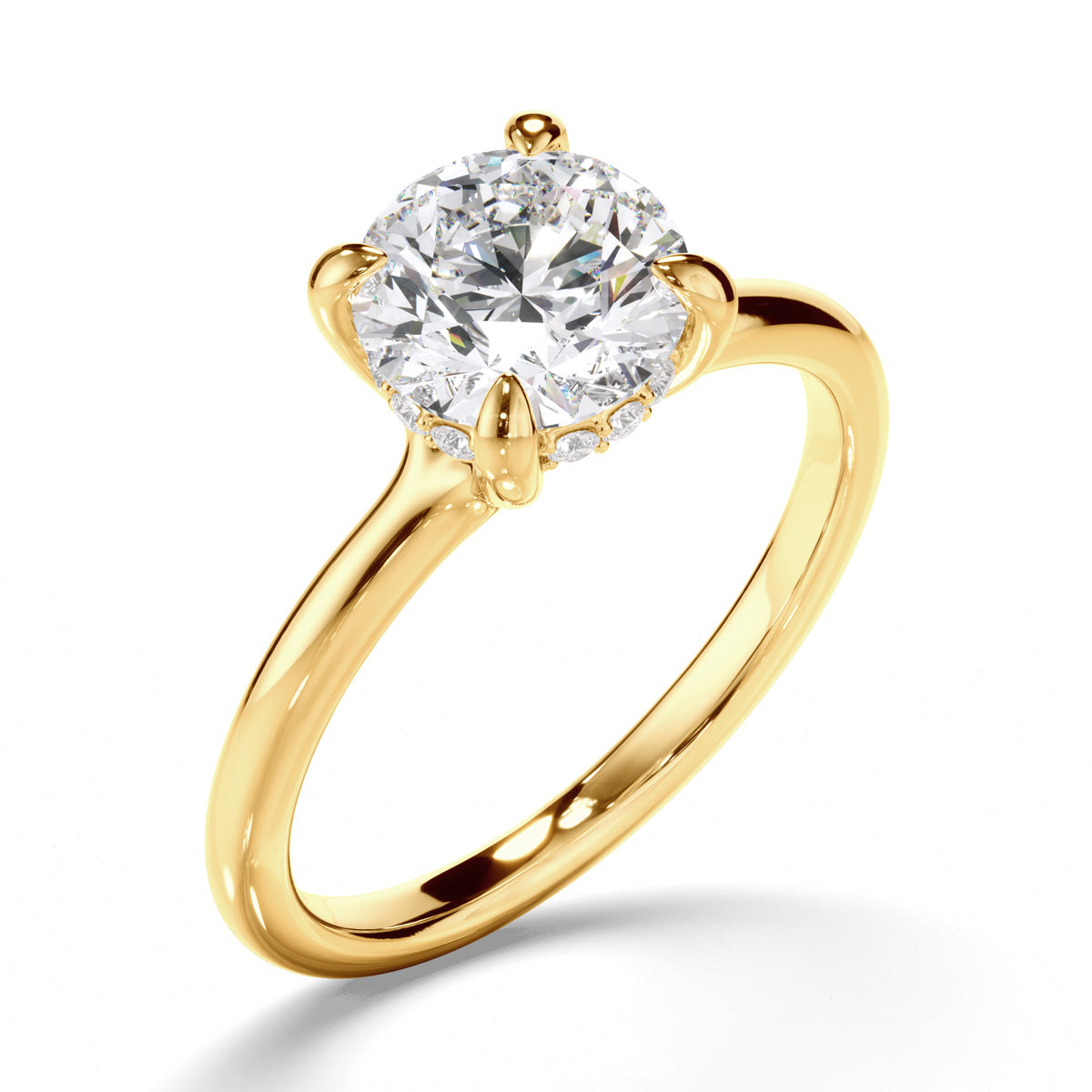 Round Brilliant Cut Diamond Hidden Halo Engagement Ring